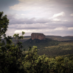 The Waterberg